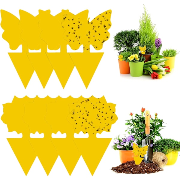 Gul växtklistermärke, 48 stycken insektsfällor, självhäftande fällor, gula flugfällor, växtinsektsfällor, för flygande insekter, bladlöss, myggor,