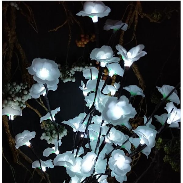 Solcells drivna ljusslingor, 2-pack 30L söt trollslända LED-lampa
