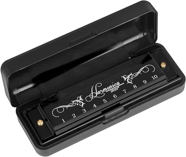 Blues Harmonica, Diatonic Blues Harmonica in C Key, 10 Holes 20 Tones Blues Harp Harmonica (Rose Red) black
