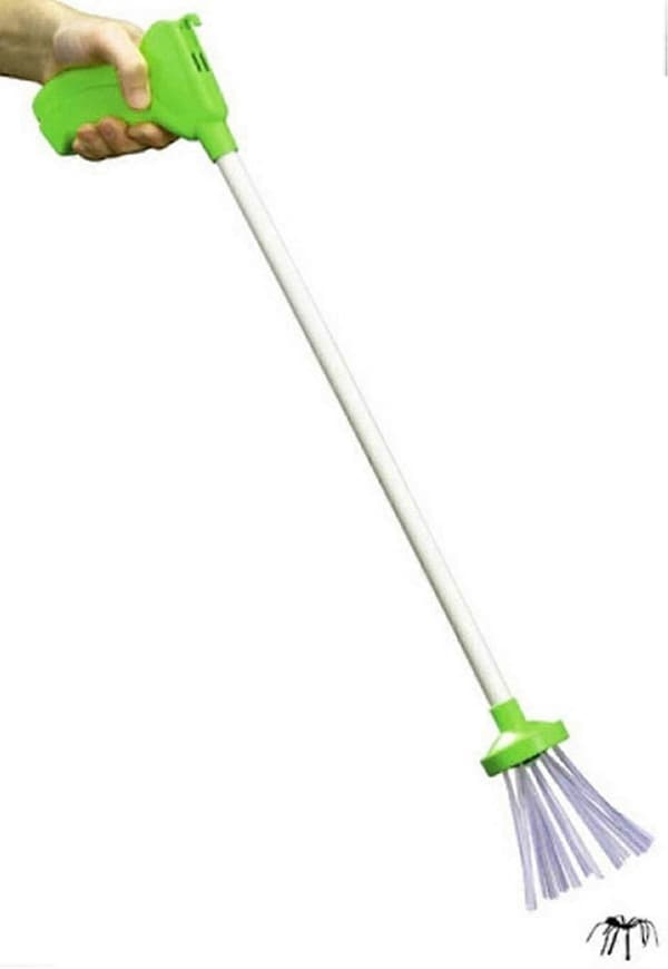 Edderkoppfanger Overraskelsesgave Green