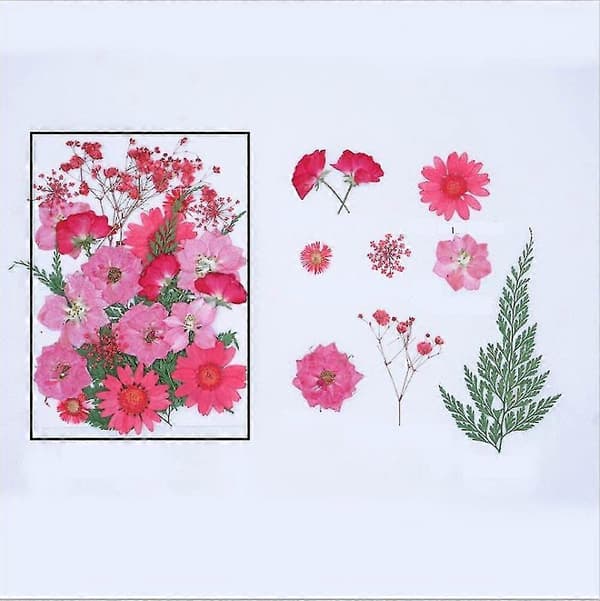 61-pakning med ekte blandede, tørkede og pressede blomster