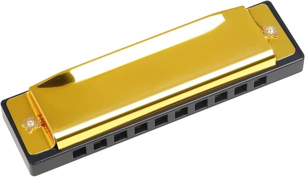 Blues Harmonica, Diatonic Blues Harmonica in C Key, 10 Holes 20 Tones Blues Harp Harmonica (Rose Red) gold