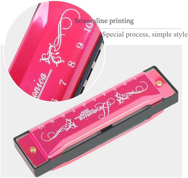 Blues Harmonica, Diatonic Blues Harmonica in C Key, 10 Holes 20 Tones Blues Harp Harmonica (Rose Red) rose