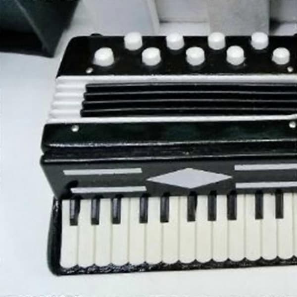 Miniature Harmonika Mini Musikinstrument Harmonika Udsøgte Musikinstrumenter Julepynt Black