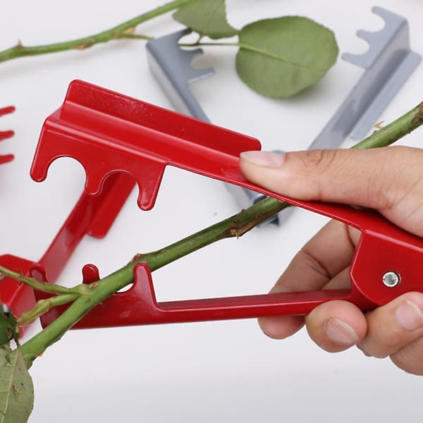 Blad Tornefjernelsesklips Rose Piercing Tang Stikfjerner Blomsterbutik Stikklips og Stikværktøj Sikkert 3st