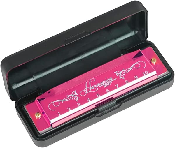 Blues Harmonica, Diatonic Blues Harmonica in C Key, 10 Holes 20 Tones Blues Harp Harmonica (Rose Red) rose