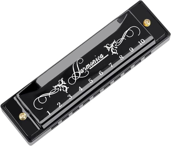 Blues Harmonica, Diatonic Blues Harmonica in C Key, 10 Holes 20 Tones Blues Harp Harmonica (Rose Red) black