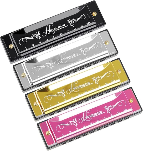 Blues Harmonica, Diatonic Blues Harmonica in C Key, 10 Holes 20 Tones Blues Harp Harmonica (Rose Red) gold