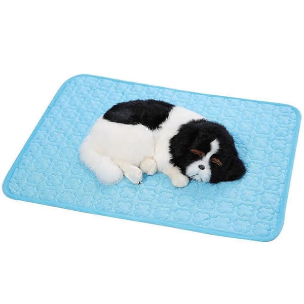 Kylmatta för hund, kylmatta
