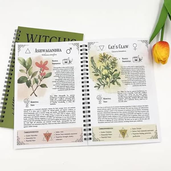 Hekseurtkodex, grøn spiralnotesbog med morter- og støderdesign, 20,8 x 8,1 tommer, botanisk tema-journal