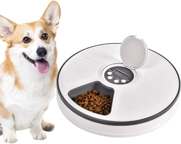 6-måltids automatisk kæledyrsfoderdispenser til hunde og katte med programmerbar digital timer, portionskontrol og stemmeoptagelse