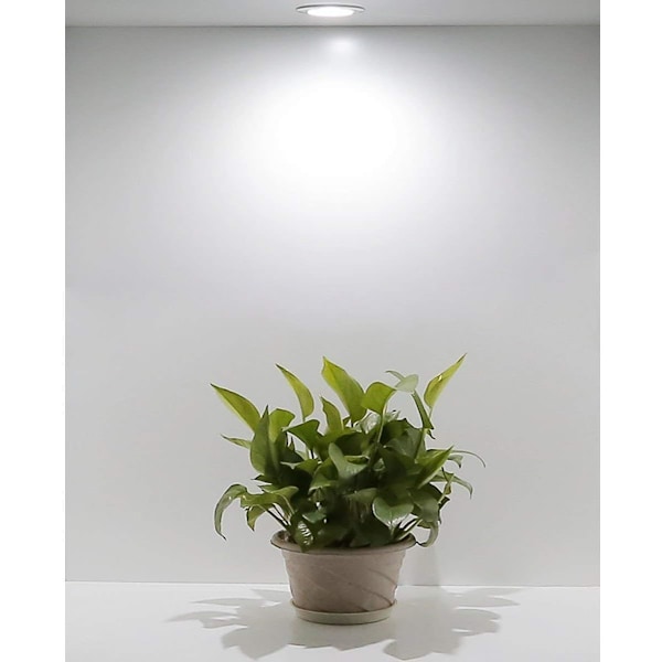 Pakkaus, jossa 10 Mini LED-kattovalaisinta, upotettavat LED-spottivalot