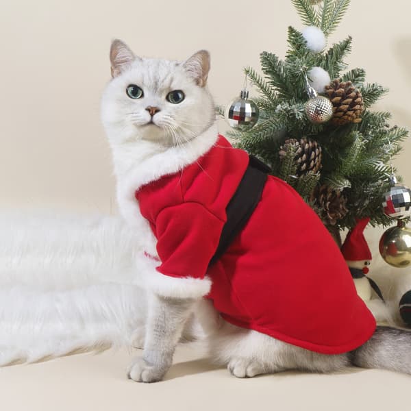 Julepyjamas til kæledyr - kat og hund - efterår og vinter - klassisk stil S