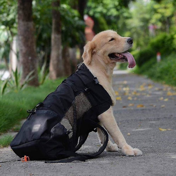 Hundhållare Ryggsäck för små och medelstora husdjur Framåtvänd Justerbar Hundryggsäckhållare Helventilerad