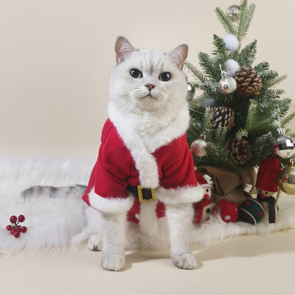 Julepyjamas til kæledyr - kat og hund - efterår og vinter - klassisk stil M