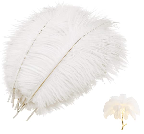 10 stk Naturlige strudsefjer, Strudsfjer Plume White