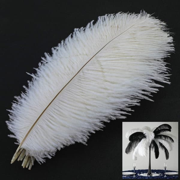 10 stk Naturlige strudsefjer, Strudsfjer Plume White