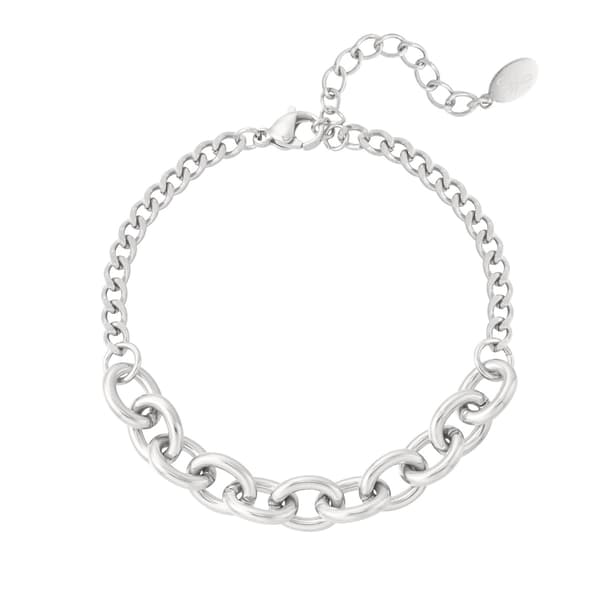 Silver Armband i Rostfritt Stål med Små & Stora Länkar Silver