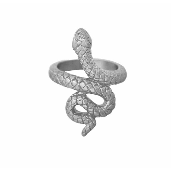 Silver Ring i Rostfritt Stål - Fint Mönstrad Orm / Snake -Stl 16 Silver