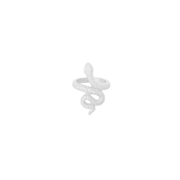 Silver Ring i Rostfritt Stål - Fint Mönstrad Orm / Snake -Stl 16 Silver