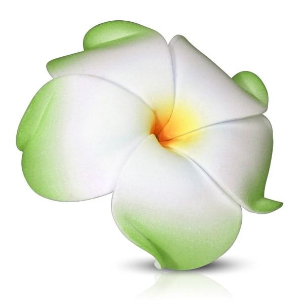 2 st Hårspänne Hårklämma Hår Accessoar -Stor Grön Hawaii Blomma