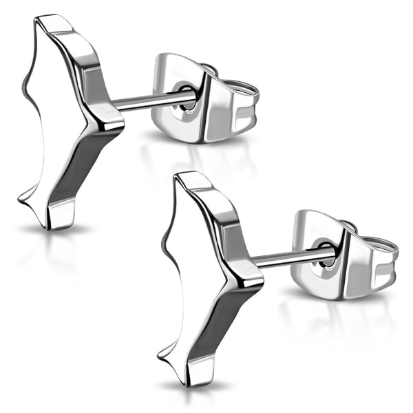 Stiftörhängen Stud Örhängen i Kirurgiskt Stål 316L i Silver Färg - Söt Blank Delfin / Delfiner Silver