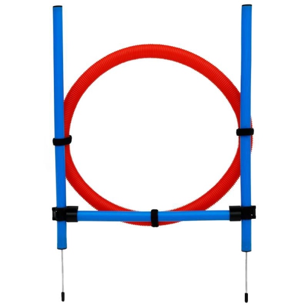 Agility forhindring med ring Blue