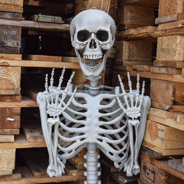Skelett, Fullstort - 170 cm grå