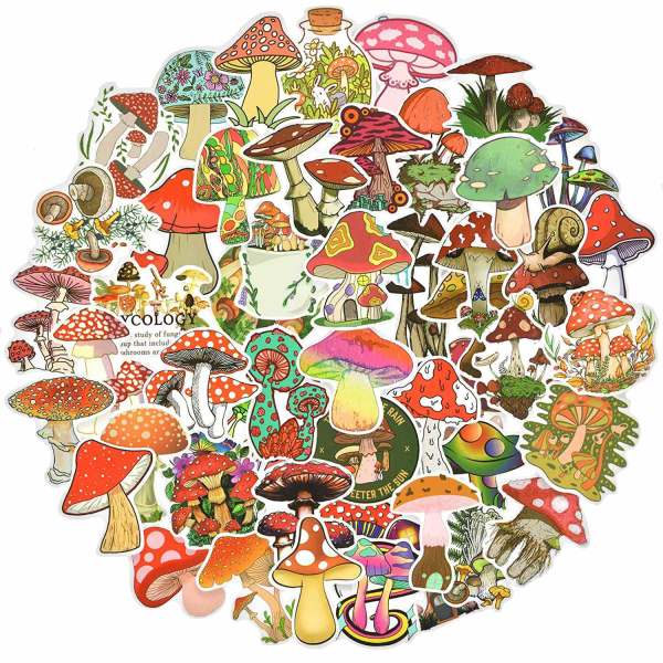 Tarrapakkaus - sienet Multicolor