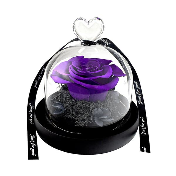 Lille Rose i Glaskupe - Lilla Purple