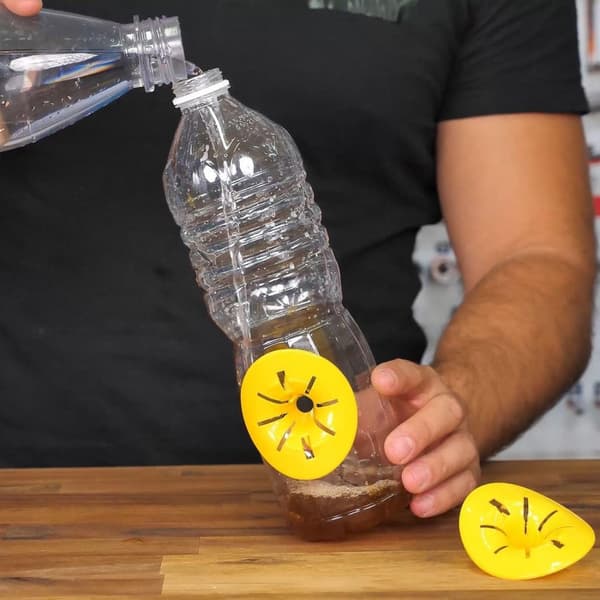 6x hvepsefælder til plastflasker Yellow