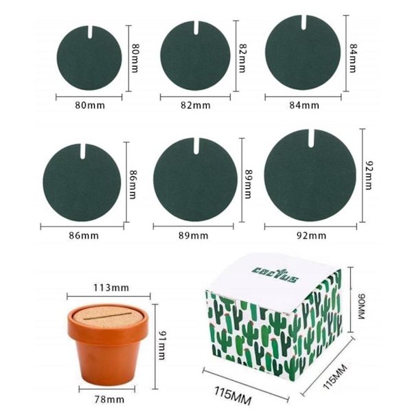 Lasipinnoite - kaktus - 6 kpl Multicolor