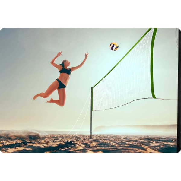Net og stativ til volleyball og badminton, 570 cm