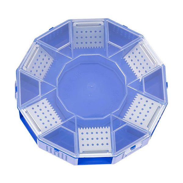 Torakanloukku Blue