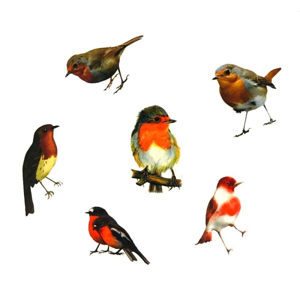 Tarrapakkaus - pienet linnut Multicolor