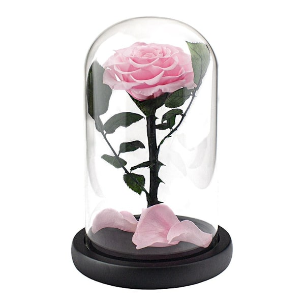 Stor Ros i Glaskupa - Rosa Rosa