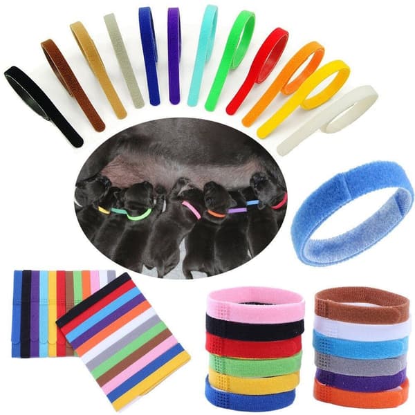 Farvet halskæde til killinger/hundehvalpe - 12 stk Multicolor