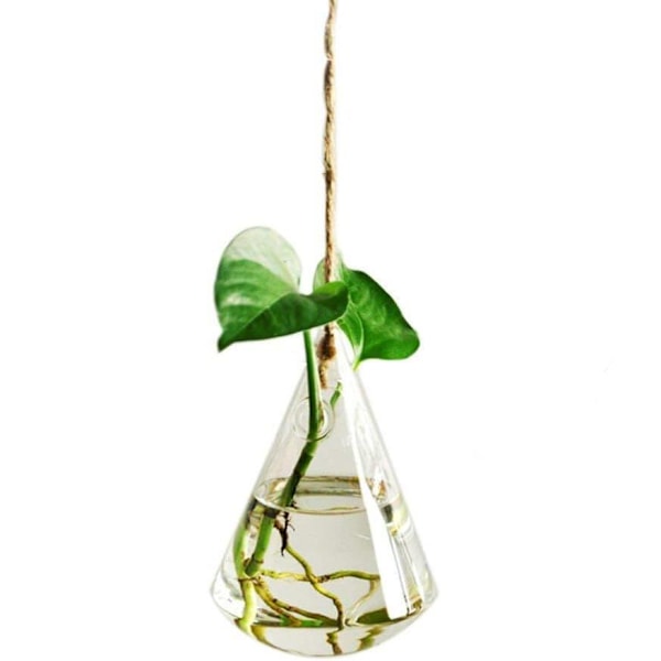 Hängande Glasvas för Sticklingar Transparent
