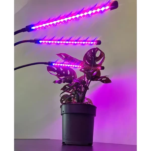 Justerbar dyrkningslampe - LED, timer Black