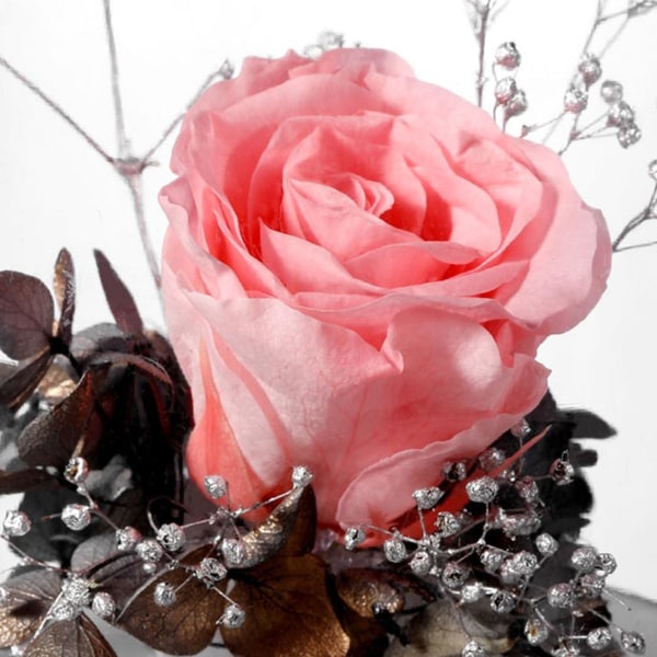 Vandfri Duftdiffuser med Belysning - Lyserød Rose Transparent