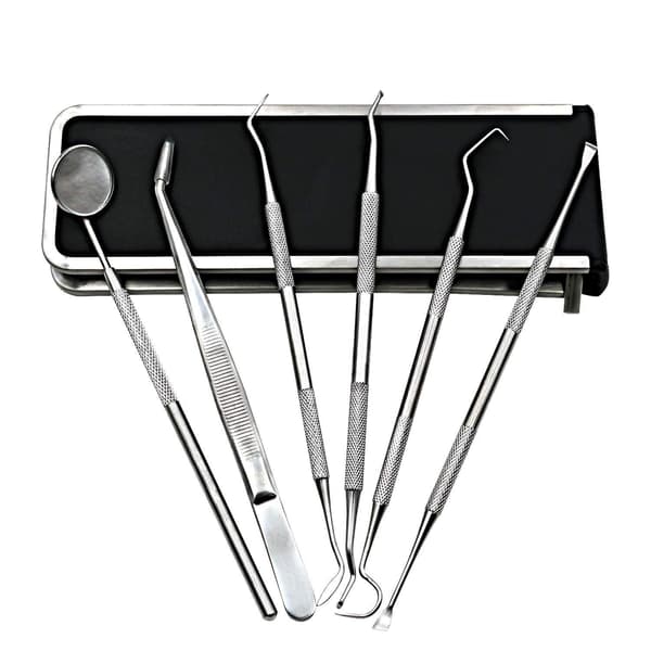 Tandvårdskit med 6 st tandinstrument Silver
