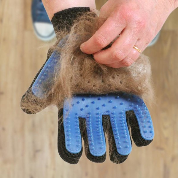 Intens Sammensætning møbel Børstehandske til Husdyr - Fjerner løs pels og bakterier Blue 7448 | Blue |  50 | Fyndiq