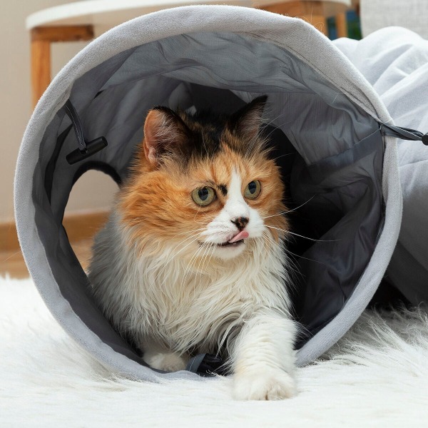 Rolig Tunnel för Katt - Hopfällbar grå