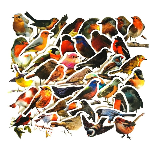 Pack med Klistermärken - Småfåglar multifärg