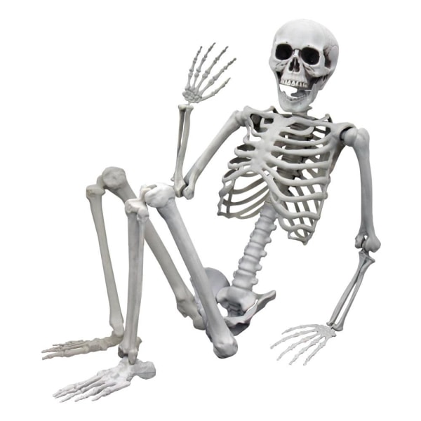 Skelett, Fullstort - 170 cm grå