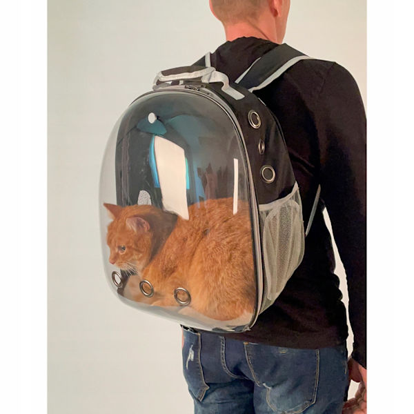 Rygsæk til katte og hunde Multicolor