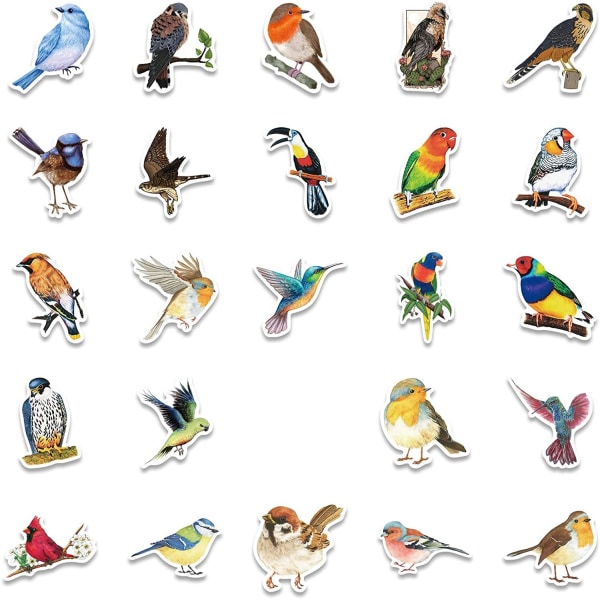 Klistermärken med Fåglar - 50 st multifärg