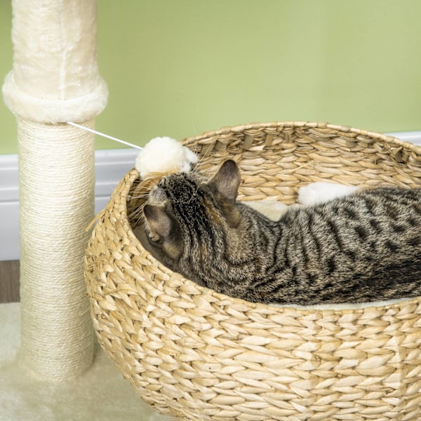 Klatretræ til kat 72 cm med Senge & Legebold