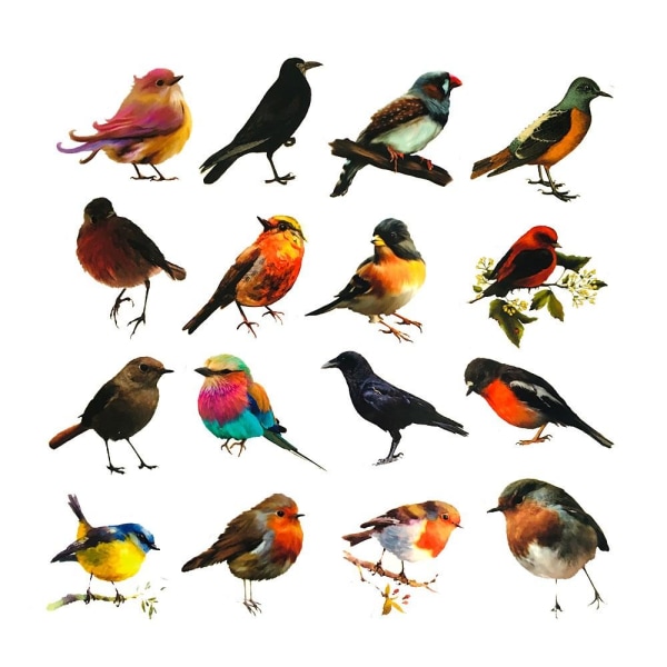 Pack med Klistermärken - Småfåglar multifärg