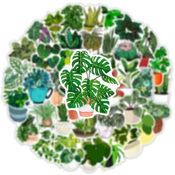 Set med Klistermärken - Växter - 50 st multifärg